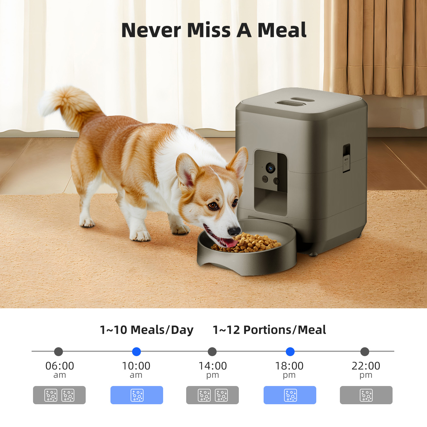 2L Automatic Pet Feeder Cat Sm – обзор и цена Kitchen Appliances Video